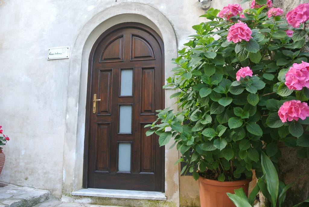 B&B Casa Antonia Trentinara Exterior foto